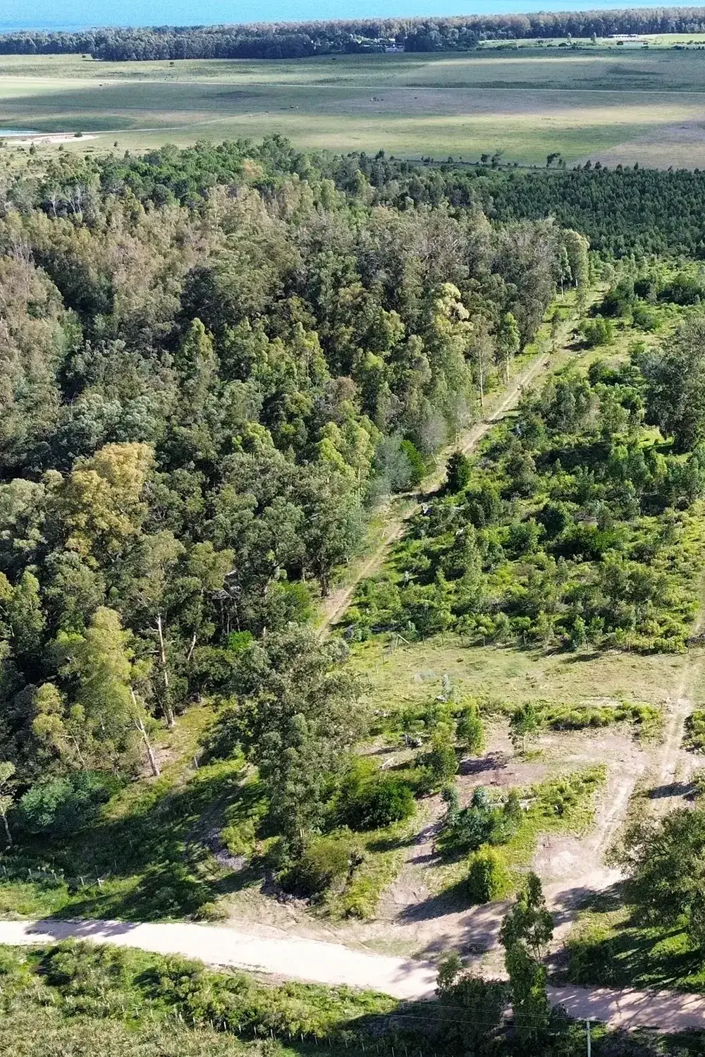 Lotes rodeados de vegetación nativa en Eden Rock Maldonado