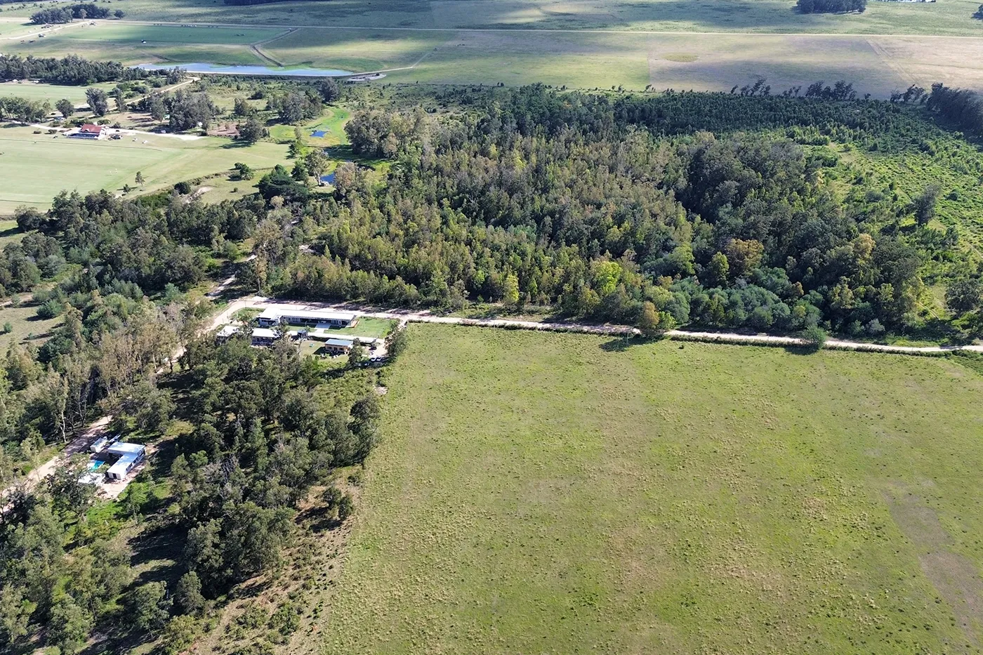 Entorno natural de Eden Rock, bosque y pradera en Uruguay