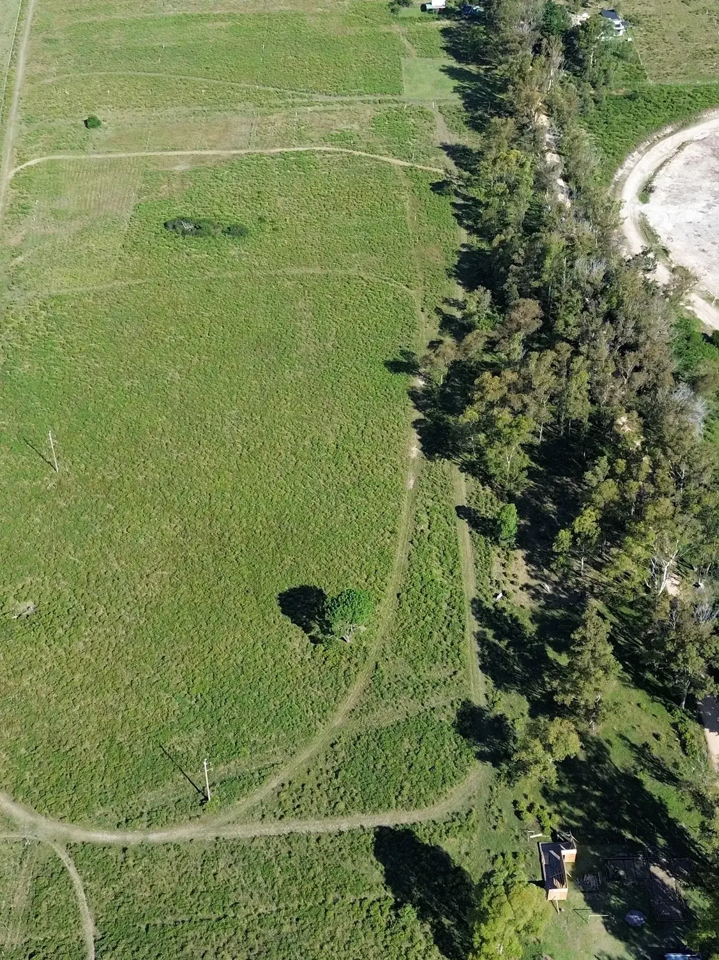 Galería de imágenes — bosque nativo en Eden Rock Maldonado