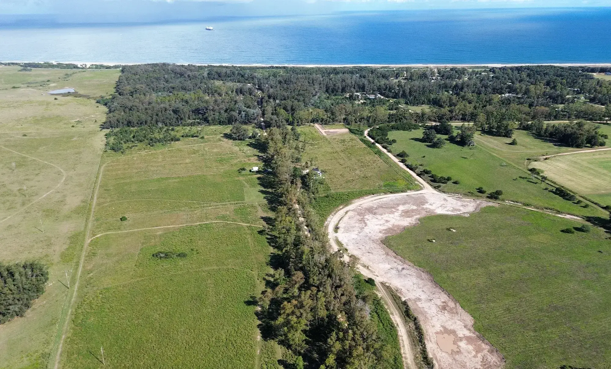Bosque nativo y naturaleza en balneario Eden Rock, Maldonado